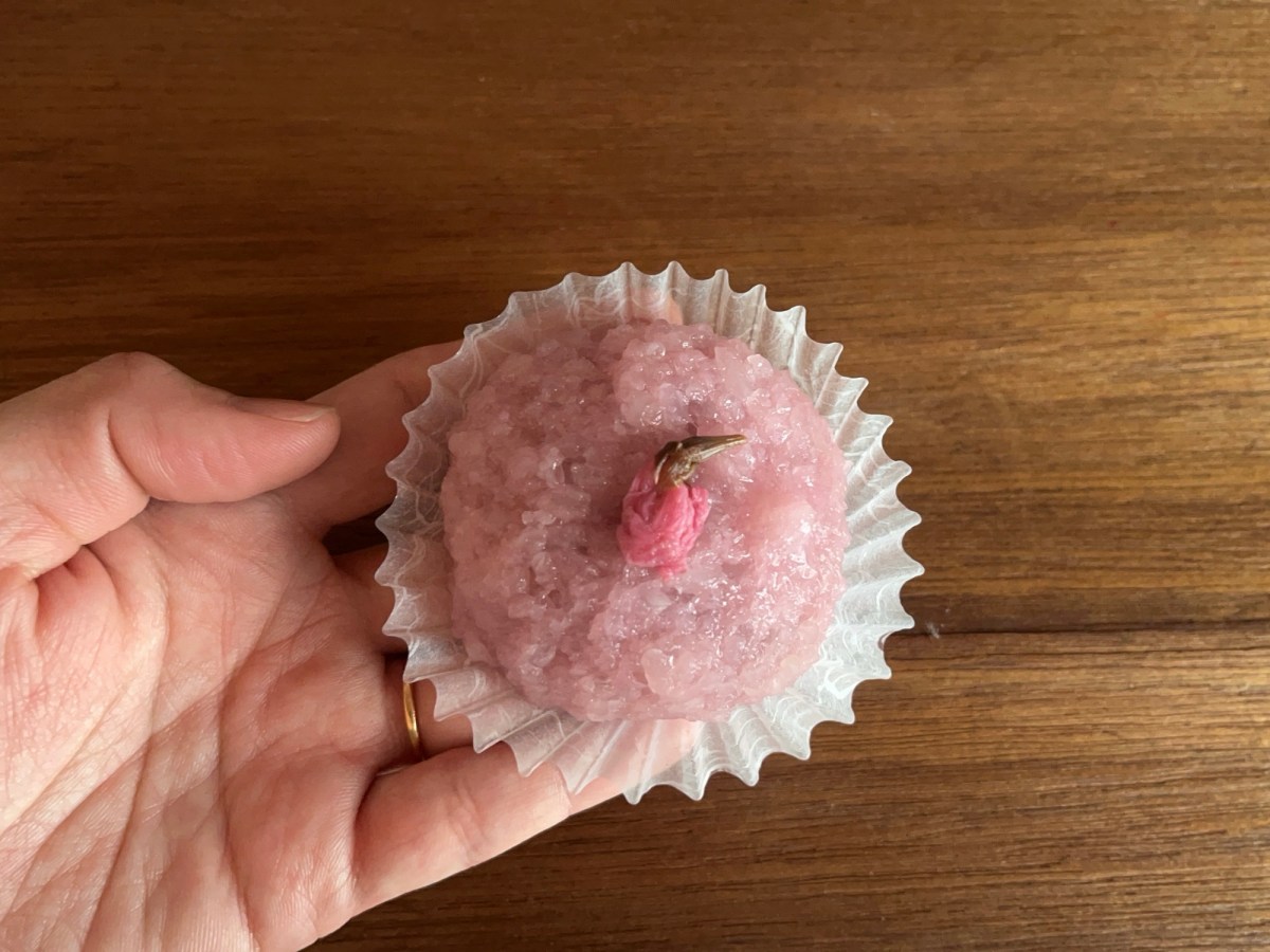 Column: Sakura sweets